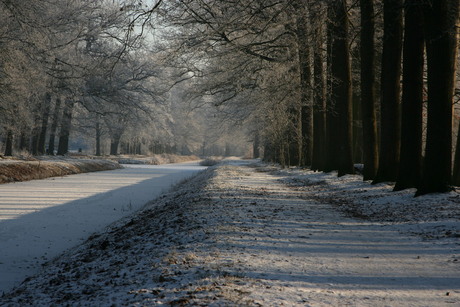Winter in Renswoude