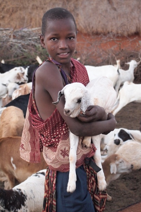 Masaï herder