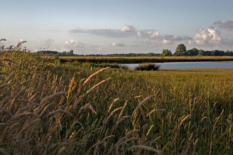 Natuurgebied Duurswold 2