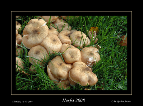 Herfst 2008-3