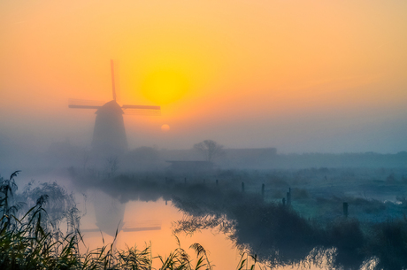 Hollandser kan het niet!