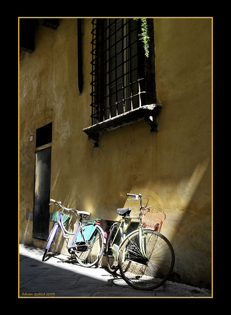 Bikes in Lucca...