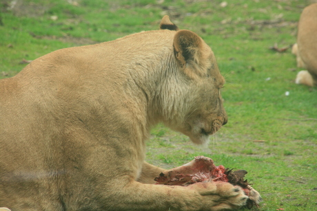 Smakelijk eten