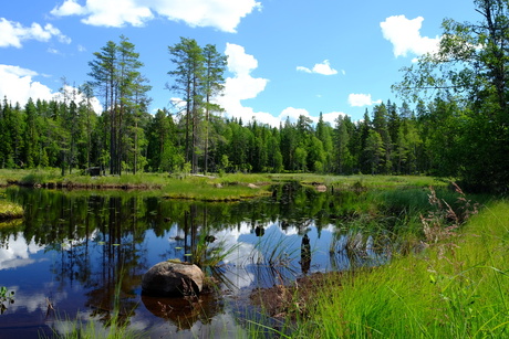 Meertje in Zweden onderweg van Vamhus naar Oslo
