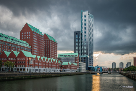 Rotterdam