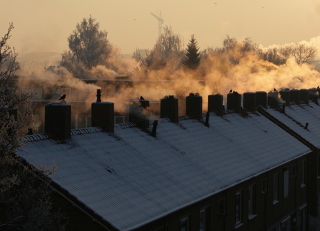 Mist, zon en kou in de ochtend