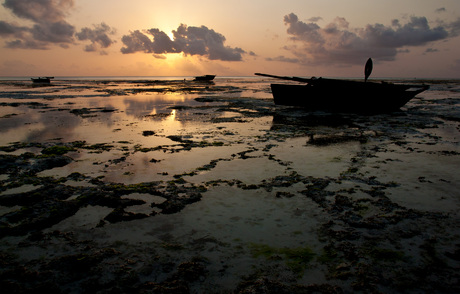 Zanzibar, zonsopkomst