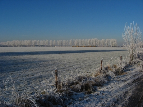 Winter in de Betuwe