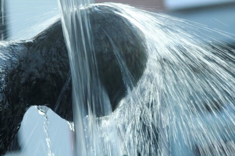 Man & water, beeld centrum Hoorn