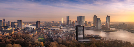 Rotterdam panorama