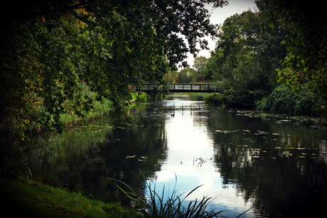 Park net voor de herfst