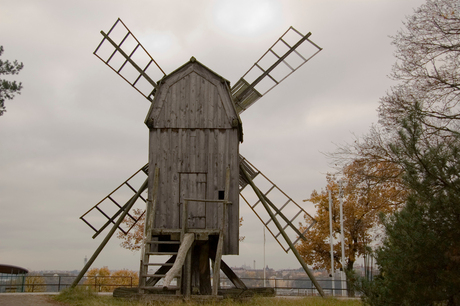 Molen