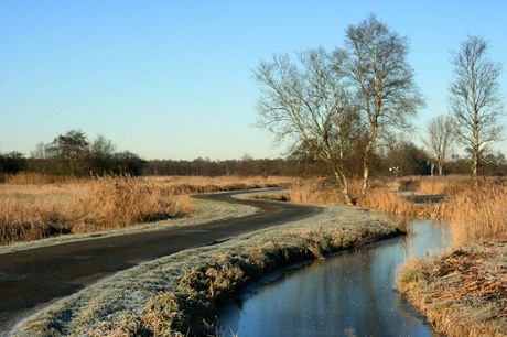 Winter in de Weerribben