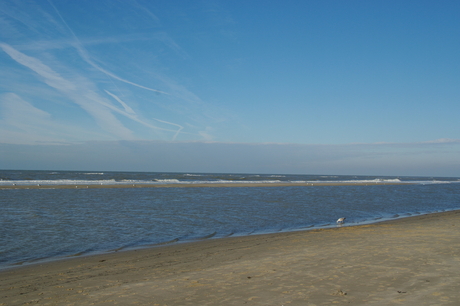 Egmond 10-2-2013