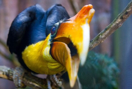 Hee jij, wat kijk je?!