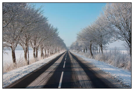 Long winter road