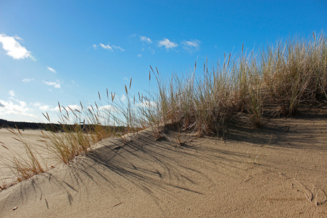 Zand duintje...