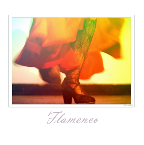 Flamenco 11