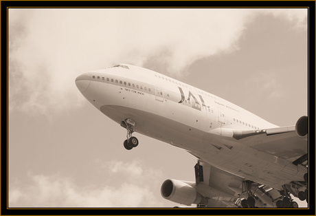 - JAL Skycruiser -