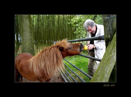 Man en Paard