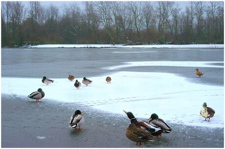 On thin ice