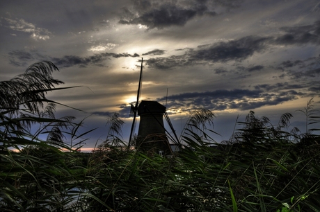 Kinderdijk