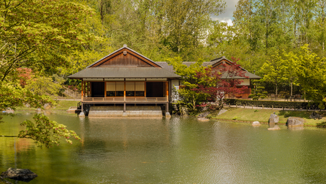 Japansetuin