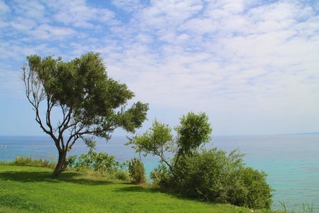 Bomen en zee op Zakynthos