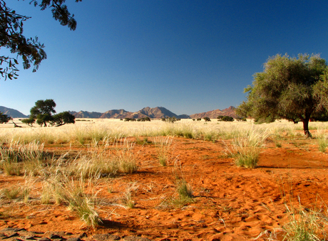 Sesriem - Namibië