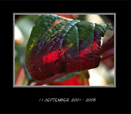 11 september ...........................