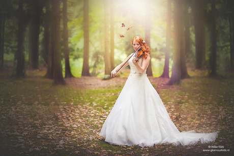 Violin fairytale