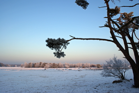 Koude Duinen