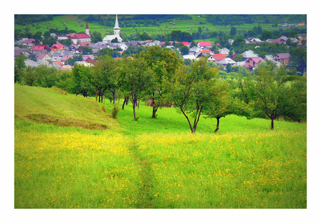 ROMANIA rondwandeling 5