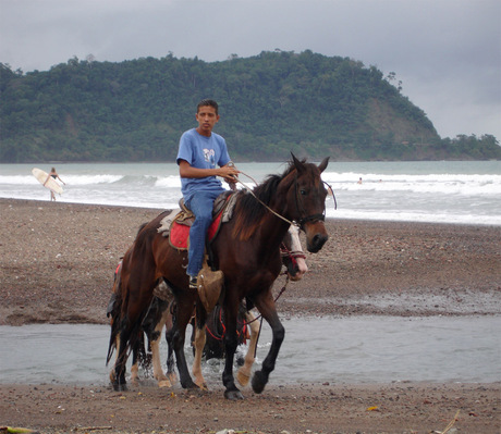 Paarden op het strand