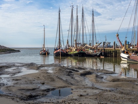 haven van Ameland