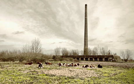 Steenfabriek aan de Waal