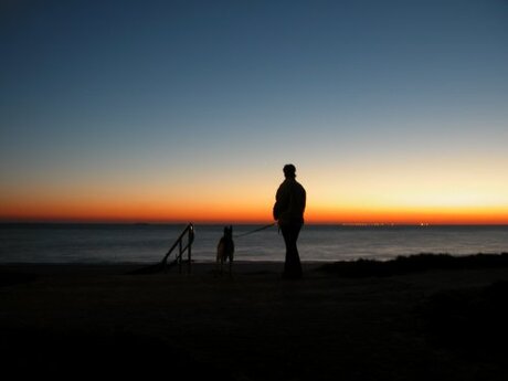 Same wandele op de dijk...
