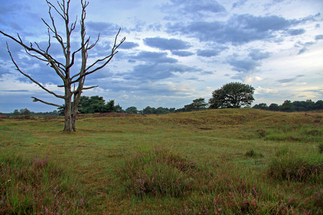 Bakkeveen, Fryslan