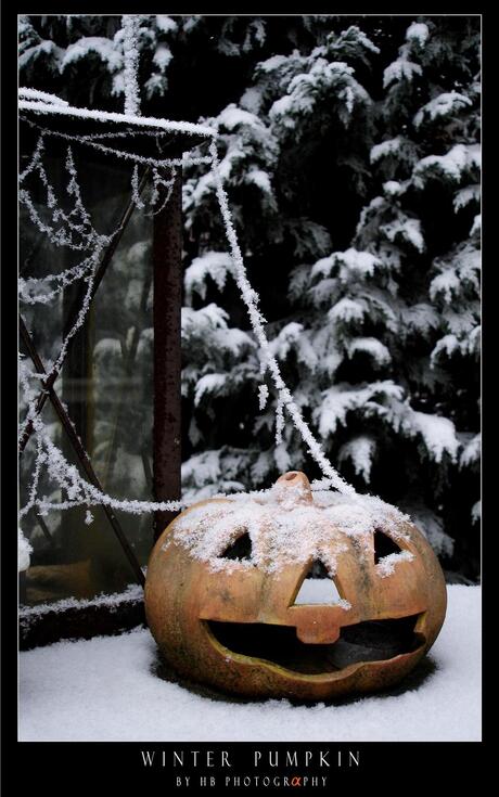 HB Winter Pumpkin