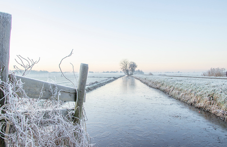 Winterlandschap