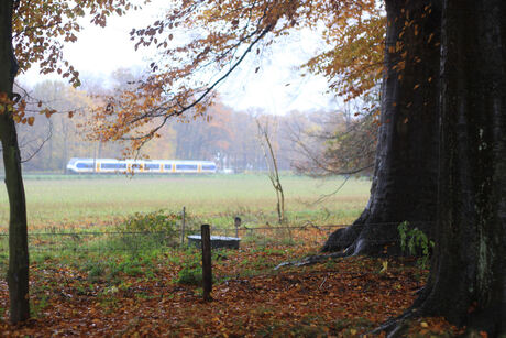 Herfst aan de Veluwezoom met passage nieuw materieel NS