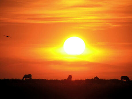 Zonsondergang