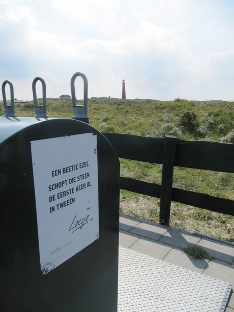 Loesje op Schiermonnikoog