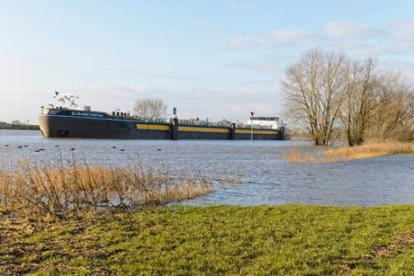 Hoog water in de Rijn