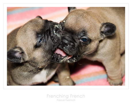 Frenching French