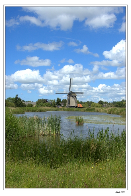 Ambachtsmolen in de leedjes