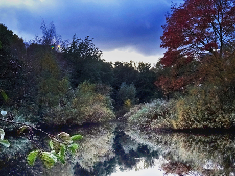 Herfst in het park