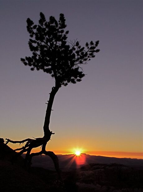 Sunrise at Bryce Canyon