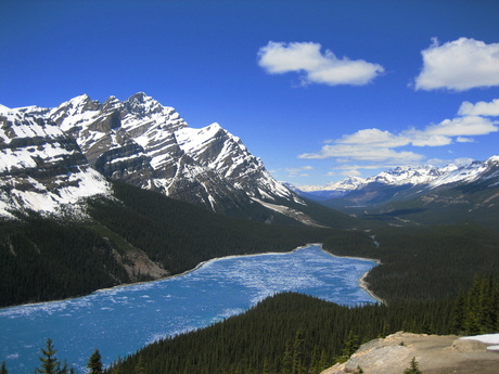 Peyto Lake 2 (mei '07)