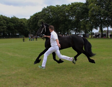 Man en paard in zweefstand